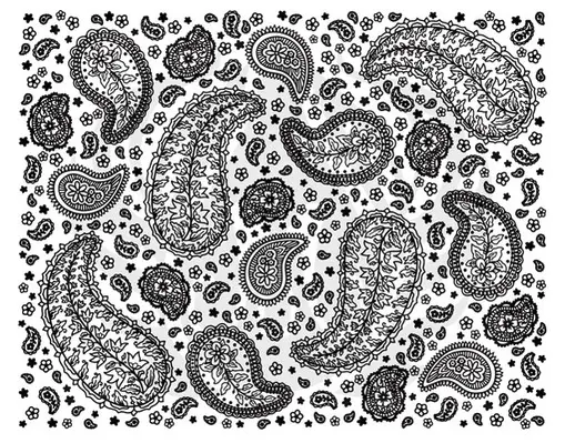 Siebdruck / Silk Screen - Paisley 2