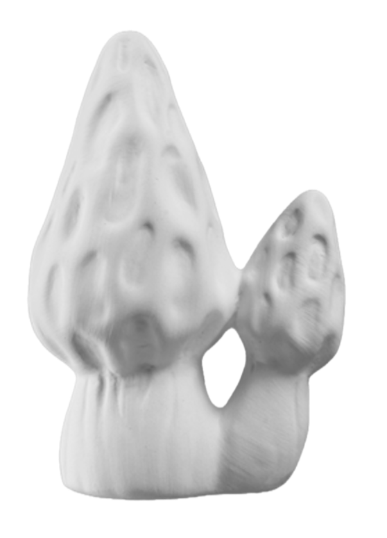 Morcheln H 9 cm