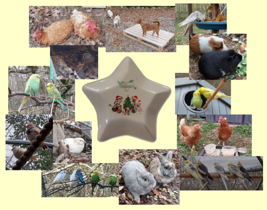 ❤️ JOYEUSES FÊTES ❤️