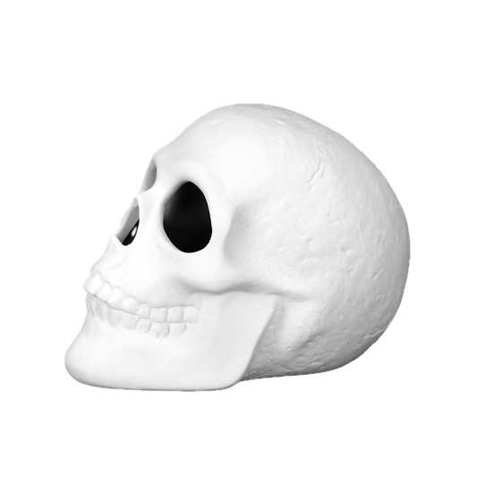 Skull 10x14 cm, H 10.5 cm